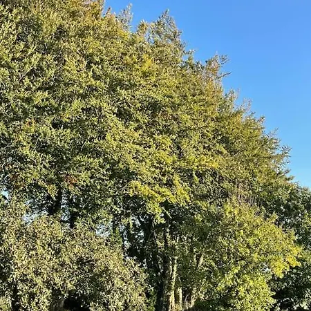 בית נופש L Atelier D Amelie Therouldeville